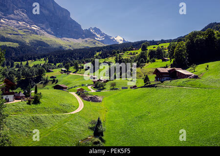 Panorama de la scène avec chalets alpin pittoresque et dynamique de vertes prairies près de Grindelwald dans la région de Jungfrau, Suisse Banque D'Images