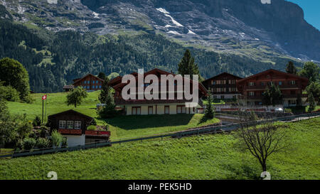 Chalets traditionnels en bois dans la ville pittoresque de Grindelwald suisse en été à l'avant de la face nord de la montagne Eiger, entouré par de gree Banque D'Images