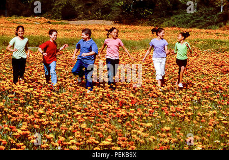 Tween raciale multi heureux garçons et filles préadolescentes heureusement en champ de fleur dans la saison du printemps © Myrleen Pearson ...Ferguson Cate Banque D'Images