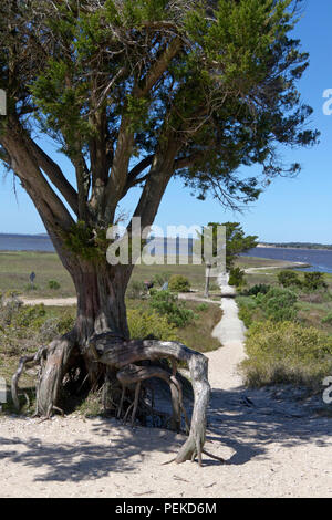 FORT FISHER, CAROLINE DU NORD), USA - 20 avril ; 2018 : personnes serpentent le long du sentier historique par Fort Fisher, un bastion Fort confédéré pendant Banque D'Images