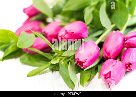Tulipes rose vif sur un fond de bois. Arrière-plan de carte postale ou de papier peint Banque D'Images