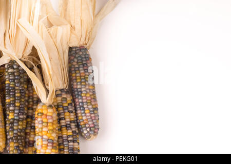 Tas de matières organiques multicolores séché des épis de maïs popcorn pop prêt à faire ou grit isolé sur fond blanc Banque D'Images