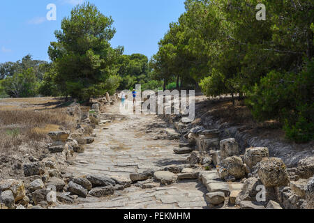 La rue Colonnade dans les vestiges romains à Salamine près de Famagouste (Gazimagusa), République turque de Chypre du Nord Banque D'Images