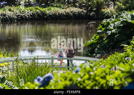 Les jeunes adolescentes debout sur Trebah Garden Bridge à Trebah Garden Cornwall. Banque D'Images