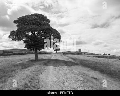 Chemin vers la cage tower dans la distance à Lyme Park estate en monochrome. Le domaine est géré par le National Trust et est situé dans le pic Banque D'Images