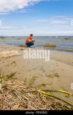Dunes de sable Banque D'Images