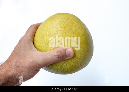 Pomelo Fruit dans une main sur un fond blanc. Banque D'Images