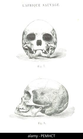 Image réalisée à partir d'archive historique page 422 de "L'Afrique Sauvage, nouvelles excursions au pays de Ashangos ... U0301E u0327fiche Franc dition ... augmente u0301e' Banque D'Images