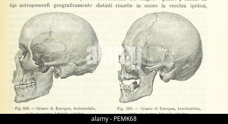 Image réalisée à partir d'archive historique 1165 page de "d'anthropologie générale. Lezioni di l'uomo secondo la teoria dell'evoluzione ... raccolte e pubblicate ... da G. Raverdino e G. B. Vigo' Banque D'Images