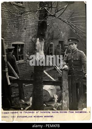 Dommages causés par des fragments d'éclatement des bombes, lancées de zeppelins. Un cerisier dépouillés, et les fenêtres brisées [Angleterre]. H. D. Photographe Girdwood. Banque D'Images