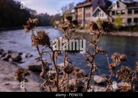 Vue du paysage de la capitale suisse ville de Berne, avec la rivière Aare au milieu Banque D'Images