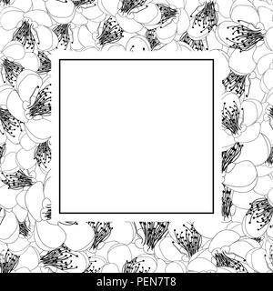 Momo Peach Fleur Fleur Contours Banner Carte. Vector Illustration. Illustration de Vecteur