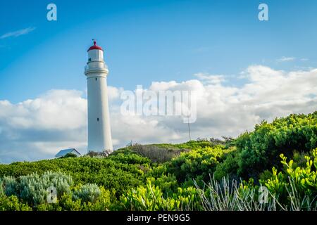 Le phare de Cape Nelson à Victoria, en Australie, à l'été Banque D'Images
