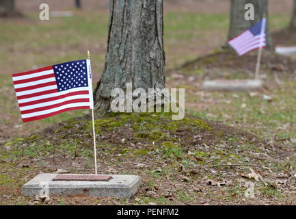 Drapeaux américains au cours de la fierté des marqueurs à la memorial Mémorial Gander Tree Park, lors d'une cérémonie à Fort Campbell, Kentucky. le 12 décembre 2015. Le nom et l'honneur des marqueurs de chacun des membres de l'unité qui ont perdu la vie dans l'accident d'avion. La cérémonie a récompensé les 248, 3e Bataillon, 502e Régiment d'infanterie, les soldats qui ont perdu la vie dans un tragique accident d'avion à Gander, Terre-Neuve, Canada le 12 décembre 1985. Les soldats étaient de retour d'une mission de maintien de la paix de six mois dans la péninsule du Sinaï. La cérémonie a marqué le 30e anniversaire de cette tragédie. Les arbres d'érable à sucre Banque D'Images