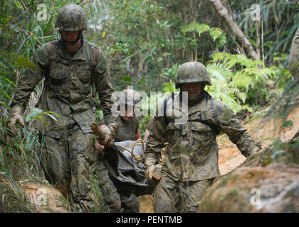 160112-N-GJ415-159 Okinawa, Japon (Janv. 12, 2016) de la construction navale Seabees Mobile Bataillon (NMCB) 3 effectuer une victime simulée sur une civière improvisée à travers la jungle lors de l'exécution d'un six heures de cours à la Marine Corps la guerre de jungle Training Centre (ETFC). Un total de 49 NMCB-3 Seabees ont assisté à la période de cinq jours. cours ETFC (U.S. Photo par marine Spécialiste de la communication de masse 1re classe Michael Gomez/libérés) Banque D'Images