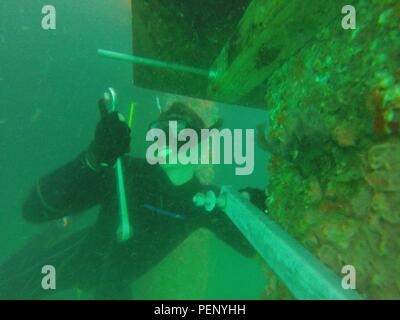 160112-N-ZZ999-001 PEARL HARBOR (janv. 12, 2016) - Hôpital Corpsman 1re classe James Aldridge, attribué à l'équipe de construction sous-marine (UCT) 2, de l'installation d'un support pour soutenir un nouveau système de protection cathodique sur un tas. UCT 2 Détachement de plongée Construction Alfa (CDDA) effectue la réparation du quai sur Joint Base Hickam Pearl Harbor à prolonger la troisième flotte d'actif. CDDA est sur le premier arrêt de leur déploiement, où ils mènent des inspections, l'entretien et la réparation de divers équipements de bord sous l'eau et à l'appui de la Flotte du Pacifique. (U.S. Photo par marine Mécanicien Construction 3r Banque D'Images