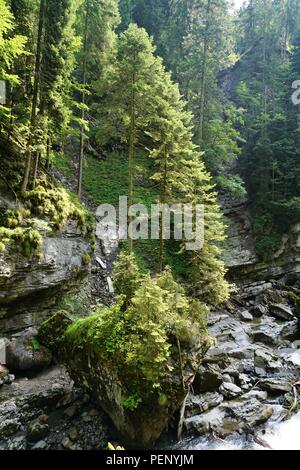 Excursion d'une journée sur l'Breitachklamm à Oberstdorf Allemagne Banque D'Images