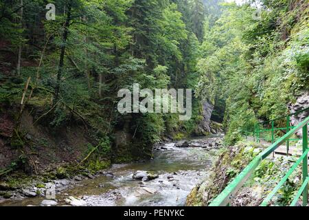 Excursion d'une journée sur l'Breitachklamm à Oberstdorf Allemagne Banque D'Images