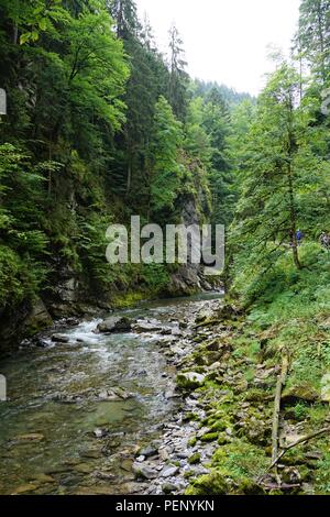 Excursion d'une journée sur l'Breitachklamm à Oberstdorf Allemagne Banque D'Images