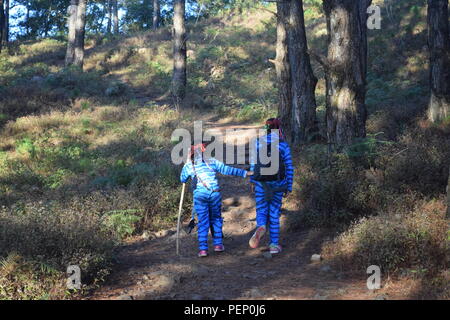 Deux jeunes filles et Feytiri Keytiri avatar arrivant à mt. Ulap et d'itinérance dans l'ensemble de la forêt de pins épais à l'Ampucao Sta. Fe des crêtes. Banque D'Images