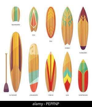 Ensemble de différents types de planches isolées. Bodyboard et du poisson, des oeufs et hybrides, funboard et sup avec palettes, longboard et tow-in, shortboard. Sur Banque D'Images