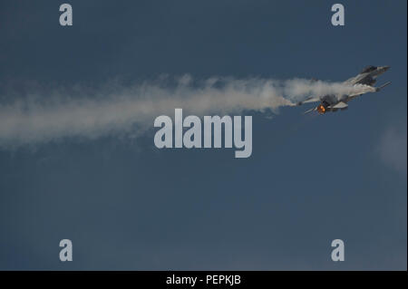 Un avion de combat léger (LCA) Tejas en prestation au Bahrain International Airshow de Sakhir Airbase à Manama, Bahreïn, le 22 janvier 2016. Ce fut la première apparition de tejas à un spectacle aérien à l'étranger. (U.S. Photo de l'Armée de l'air par le sergent. Corey/crochet) Parution Banque D'Images