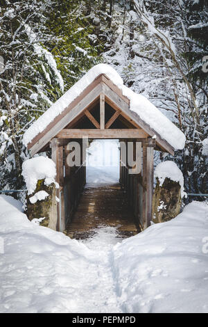 Pont en bois couvert à Brandywine Falls Provincial Park. Banque D'Images