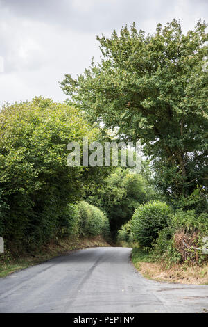 Route de campagne étroite avec les haies et arbres de chaque côté de lui, sans le trafic de jour, en été, avec les nuages sombres qui se profile au-dessus Banque D'Images