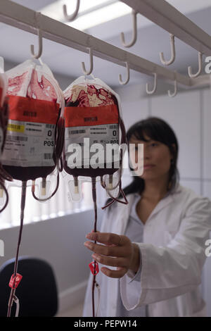 Technicien de laboratoire analyse des poches de sang Banque D'Images