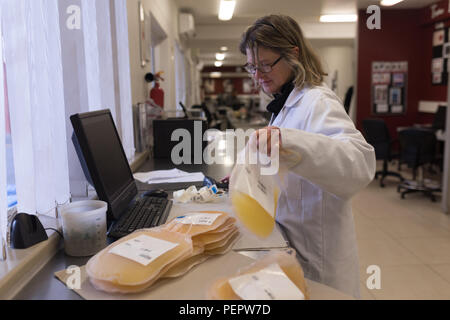 Technicien de laboratoire holding poches de plasma Banque D'Images