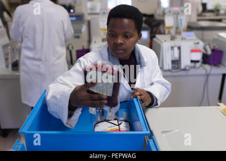 Technicien de laboratoire d'analyse de sang Banque D'Images