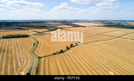 La région aride près de champs Ely,Paris,le mercredi 1er août 2108 après la canicule de l'été.Aujourd'hui, les agriculteurs sont la tenue d'un sommet de la sécheresse avec le gouvernement. La National Farmers' Union (NFU) va rencontrer des représentants à Londres aujourd'hui (mercredi) pour discuter des conditions 'poudrière qui ont réduit la croissance des graminées et appauvri les rendements des 'd'. Le président de l'UGN Minette Batters a dit qu'elle va essayer de faire comprendre au secrétaire de l'environnement Michael Gove au 'extrêmement important' talks les défis auxquels les agriculteurs sont confrontés à la suite de l'absence grave de la pluie. Banque D'Images