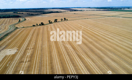 La région aride près de champs Ely,Paris,le mercredi 1er août 2108 après la canicule de l'été.Aujourd'hui, les agriculteurs sont la tenue d'un sommet de la sécheresse avec le gouvernement. La National Farmers' Union (NFU) va rencontrer des représentants à Londres aujourd'hui (mercredi) pour discuter des conditions 'poudrière qui ont réduit la croissance des graminées et appauvri les rendements des 'd'. Le président de l'UGN Minette Batters a dit qu'elle va essayer de faire comprendre au secrétaire de l'environnement Michael Gove au 'extrêmement important' talks les défis auxquels les agriculteurs sont confrontés à la suite de l'absence grave de la pluie. Banque D'Images