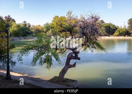 General San Martin Park Lake - Mendoza, Argentine Banque D'Images