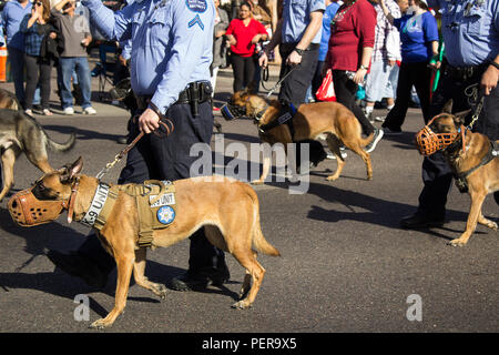 Les chiens de police Banque D'Images