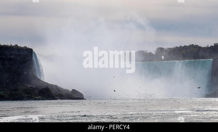 Les chutes du Niagara vu depuis un bateau avec des milliers d'oiseaux en face du côté canadien Banque D'Images