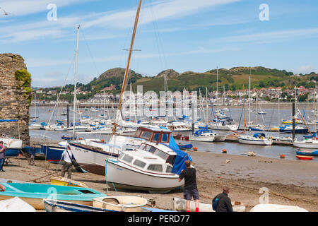 Bateaux à quai à Conwy, au nord du Pays de Galles. Banque D'Images