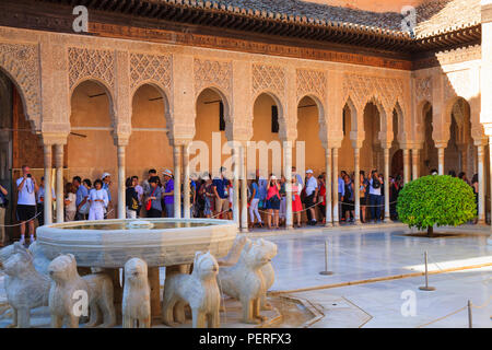Les touristes l'affichage de la Cour des Lions et fontaine à l'Alhambra à Grenade Espagne Banque D'Images