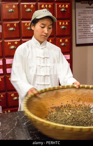 Suzhou, Jiangsu, Chine. Un employé ayant des pilules dans une entreprise fabriquant des médicaments traditionnels à base de plantes. Banque D'Images