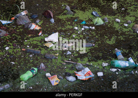 Sacs en plastique, bouteilles et autres déchets dans le lac Pichola, Udaipur, Inde Banque D'Images