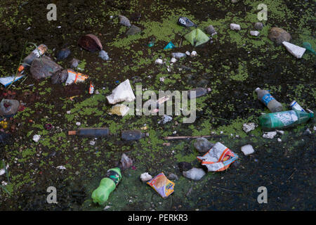 Sacs en plastique, bouteilles et autres déchets dans le lac Pichola, Udaipur, Inde Banque D'Images