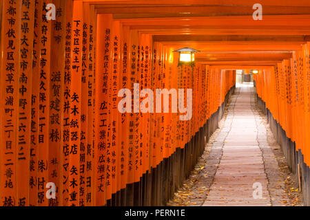 L'Asie, Japon, Honshu, région du Kansai, Kyoto, de Fushimi-Inari Taisha, lanterne entre portes torii et Kanji japonais script écrit sur le t Banque D'Images