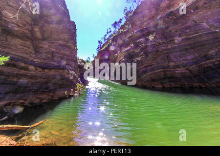 Gorges de l'Outback avec red rock et arbres Banque D'Images