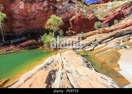 Gorges de l'Outback avec red rock et arbres Banque D'Images