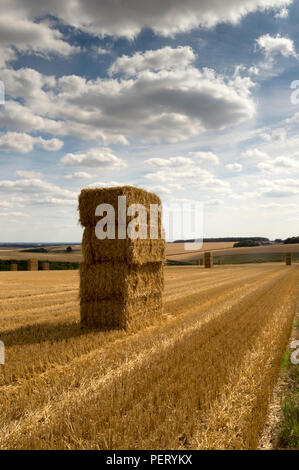 Balles de récolte, l'East Yorkshire Wolds UK Banque D'Images