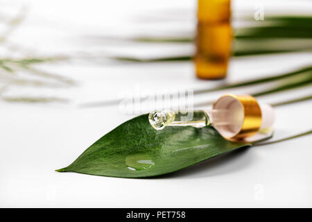 Phytothérapie ou cosmétiques - huile tomber sur la feuille verte à partir de la chambre compte-gouttes Banque D'Images