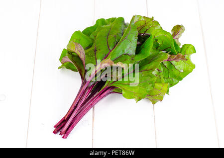 Tas de feuilles vertes. Studio Photo Banque D'Images