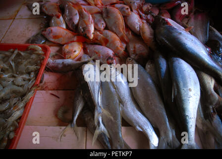 Le poisson pour la vente au marché dans le quartier de Prawirotaman Yogyakarta, Java, Indonésie. Banque D'Images