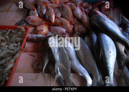 Le poisson pour la vente au marché dans le quartier de Prawirotaman Yogyakarta, Java, Indonésie. Banque D'Images