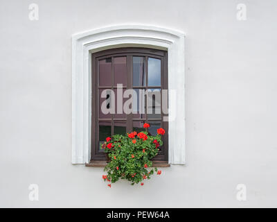 Fenêtre en bois brun avec des fleurs en plâtre mur blanc Banque D'Images